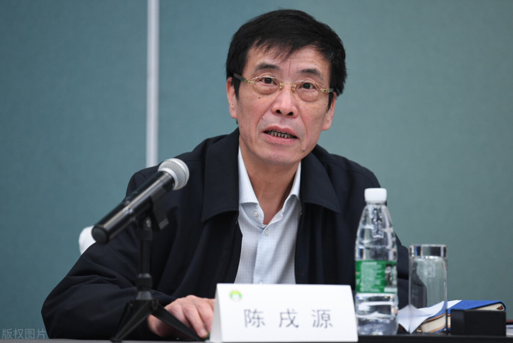  篮球裁判严格执法，公平竞赛保障进行