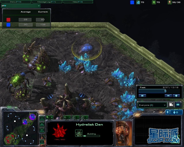  盖帽盛宴织就天罗地网封锁对手